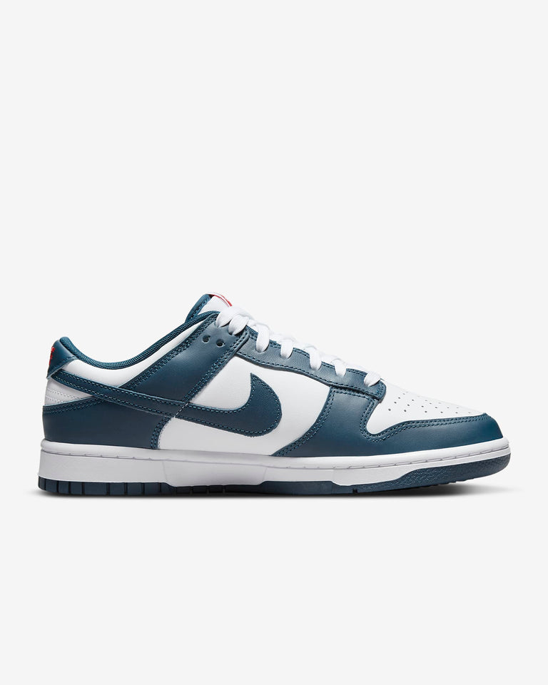 Nike Dunk Low Retro Valerian Blue